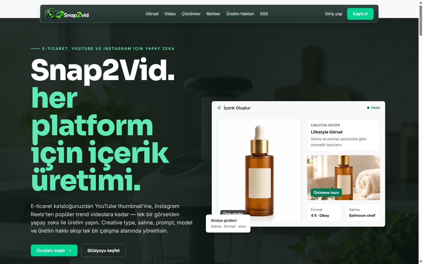 Snap2Vid web sitesi